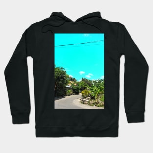 village view Hoodie